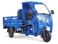 Электротрицикл Rutrike D4 Next Кабина 1800 60V1200W