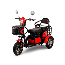 Companion 500W 48V