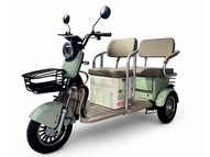 Электротрицикл GreenCamel Пони Z8 V2 (72V 1000W) дифференциал (зеленый)