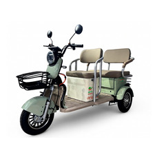 GreenCamel Пони Z8 V2 (72V 1000W), зеленый