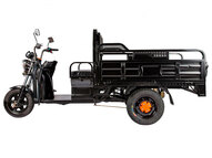 Электротрицикл Rutrike D2 1500 60V1000W