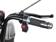 Электротрицикл Companion 500W 48V