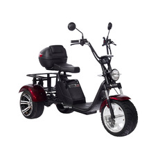 SKYBOARD TRIKE BR80