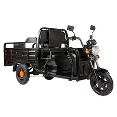 Rutrike D2 1500 60V1000W