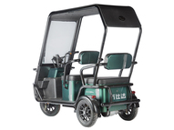 Электротрицикл Wanshida NIPLA 500 60V 1000Вт (белый)