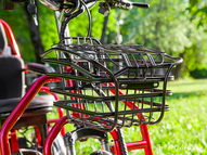 Электротрицикл Elbike Адъютант Double Twix A4