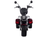 Электротрицикл SKYBOARD TRIKE BR80