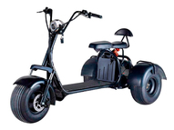 Электротрицикл CityCoco Blackline R3 Электротрицикл CityCoco Blackline R3