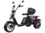 Электротрицикл SKYBOARD TRIKE BR80