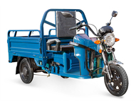 Электротрицикл Rutrike Вояж К 1300 60V800W