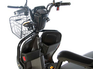 Электротрицикл E-motions TRIKE TRANSFORMER