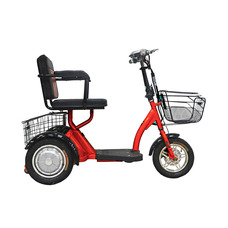 Elbike Адъютант 300