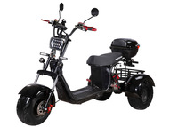 Электротрицикл SKYBOARD TRIKE BR40-3000 PRO