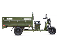 Электротрицикл Rutrike D4 Next 1800 60V1500W