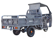 Электротрицикл Rutrike D4 Next Кабина 1800 60V1200W