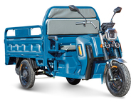 Электротрицикл Rutrike Маяк 1600 60V1000W