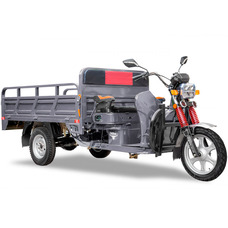 Rutrike Алтай 2000 60V1500W