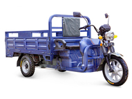 Электротрицикл Rutrike Титан Next 2000