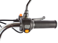 Электротрицикл Gelbert Beta 48V/60V 800Вт (сине-белый)