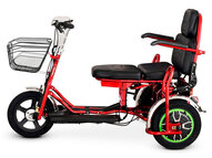Электротрицикл Transporter 600W 48V