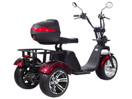 Электротрицикл SKYBOARD TRIKE BR80