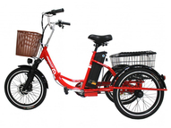 Электровелосипед трицикл GreenCamel Трайк-20 (R20 500W 48V)