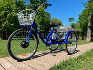 Трицикл электрический GreenCamel Трайк-24 V3 (R24 350W 48V12Ah), Красный